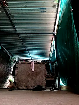 Shiya janu online show from 02-03-26, 06:40