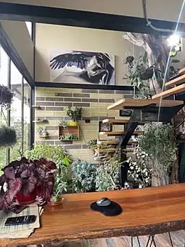 Rose-andres online show from 11-29-25, 08:42