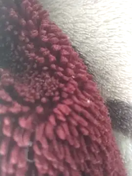 yaraa49 online show from 12-16-25, 05:55