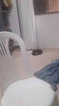 Urso Nerd online show from 03-14-26, 03:51