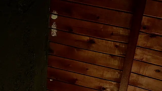 Taurito    online show from 11-28-25, 09:37