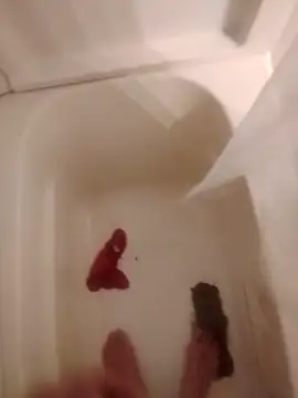 helldonk online show from 02-05-26, 02:40