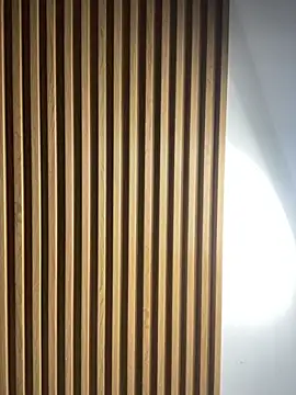 Scaarlettfox online show from 11-03-25, 07:28