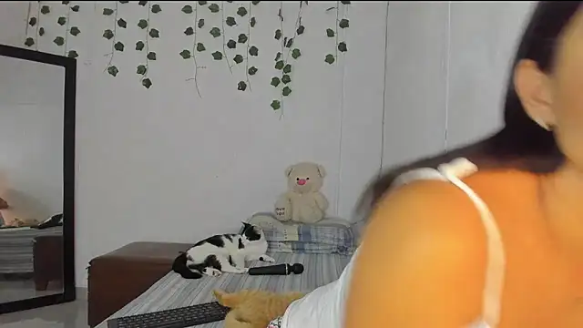 PureFire20 online show from 11-19-25, 09:20