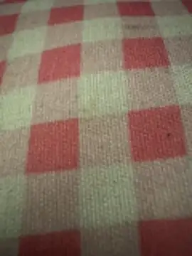 anonimgirl18old online show from 10-29-25, 05:01