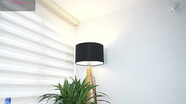 Snapshot of DeusbelliS chatting on 10-14-25, 08:31 DeusbelliS online show from 10-14-25, 08:31