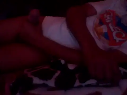 PREDADOR76 online show from 09-24-25, 09:38