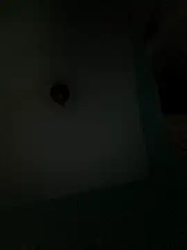 Villageanuty online show from 02-26-26, 01:27