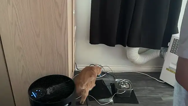 kSwisssxxx online show from 11-06-25, 10:47