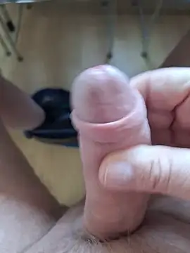 minnetird online show from 02-18-26, 02:57