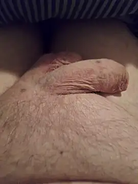 minnetird online show from 02-09-26, 07:06