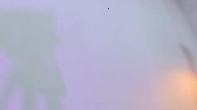 eimy skinny  online show from 02-12-26, 12:49