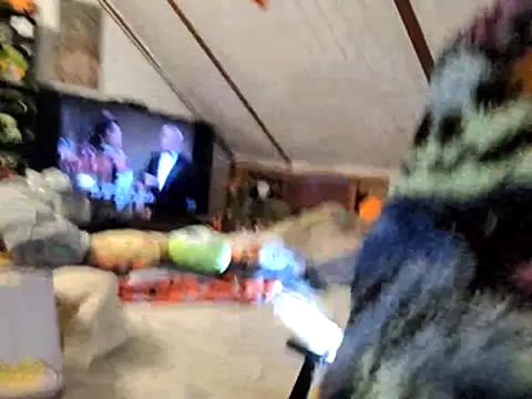 thejuicybacon online show from 11-25-25, 11:10