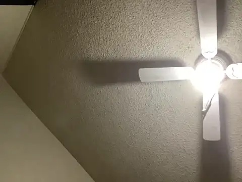 Snapshot of NiftyCaptain3 chatting on 03-31-26, 03:47 NiftyCaptain3 online show from 03-31-26, 03:47