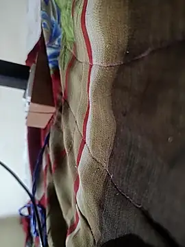 Telugu person12 online show from 02-16-26, 09:02