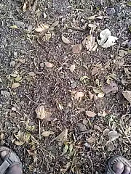 Telugu person12 online show from 01-14-26, 07:56