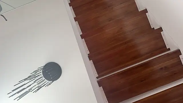 MaxPassiv online show from 10-06-25, 09:32