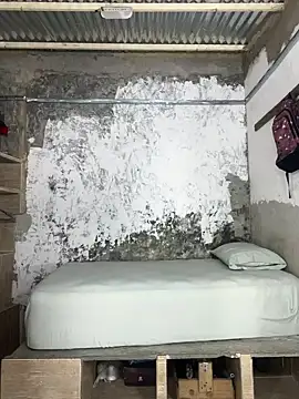 Snapshot of ikaro21 chatting on 02-25-26, 06:35 ikaro21 online show from 02-25-26, 06:35