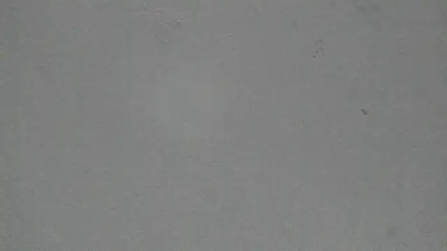 Sophia Ebony online show from 02-19-26, 12:02