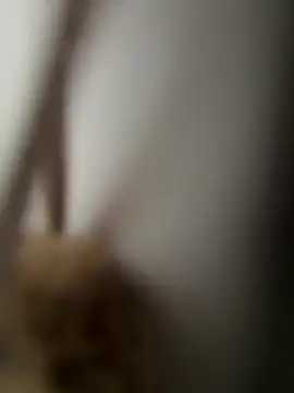 Snapshot of yungdboiy chatting on 09-23-25, 03:30 yungdboiy online show from 09-23-25, 03:30