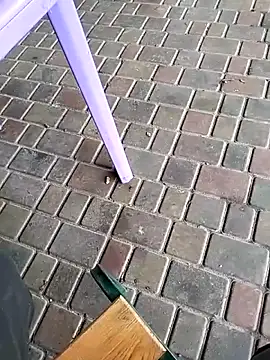 Snapshot of Odecca11 chatting on 11-23-25, 08:24 Odecca11 online show from 11-23-25, 08:24