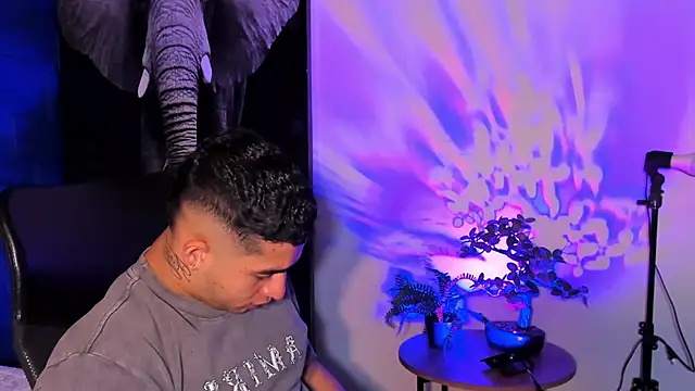 king falconer online show from 11-10-25, 12:48