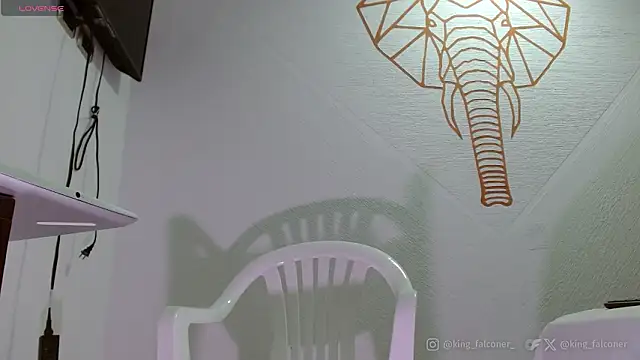 king falconer online show from 02-21-26, 05:04