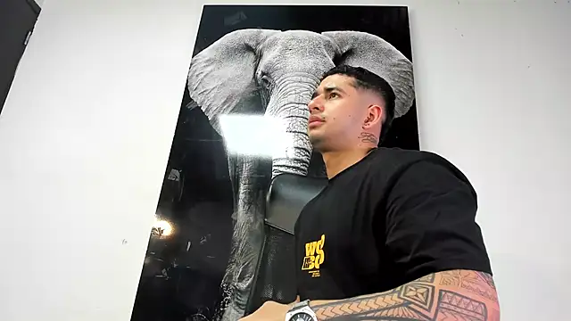 king falconer online show from 10-26-25, 01:39