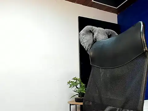 king falconer online show from 11-05-25, 06:05