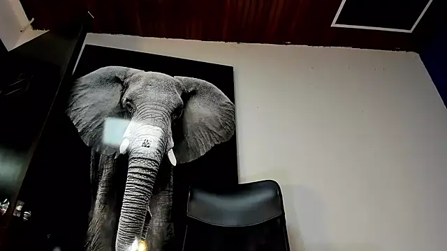 king falconer online show from 11-02-25, 12:37