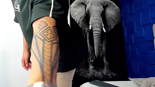 king falconer online show from 11-03-25, 12:49