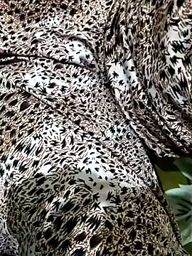 Dassing strip couple online show from 04-05-26, 10:33