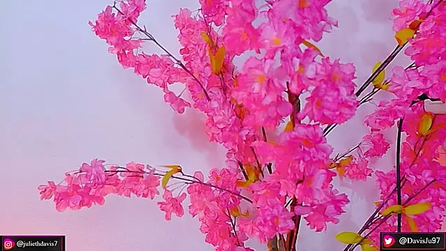 JulietaDavis online show from 05-14-26, 02:08