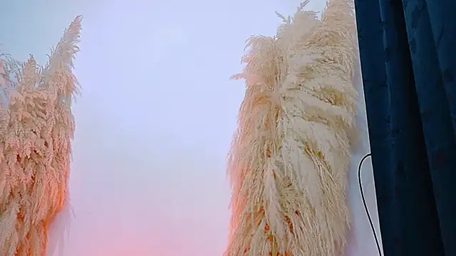 JulietaDavis online show from 02-20-26, 09:33