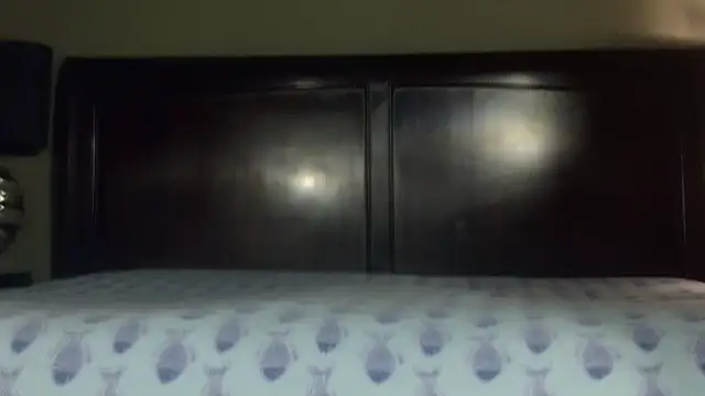 Hornylouisewil online show from 11-21-25, 12:42