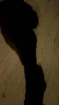 Snapshot of jvdzj-0_ chatting on 10-12-25, 12:56 jvdzj-0  online show from 10-12-25, 12:56