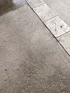 Snapshot of jvdzj-0_ chatting on 10-19-25, 03:37 jvdzj-0  online show from 10-19-25, 03:37