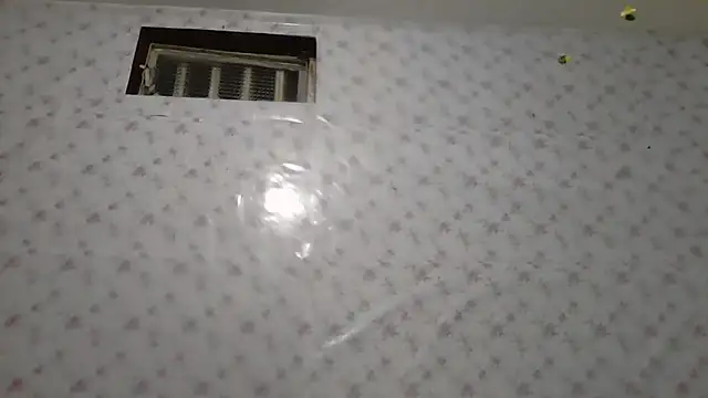 Roselingalvis13 online show from 03-03-26, 02:51