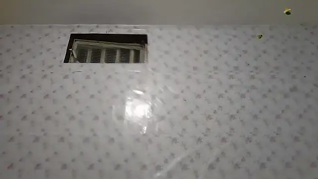 Roselingalvis13 online show from 02-05-26, 03:13