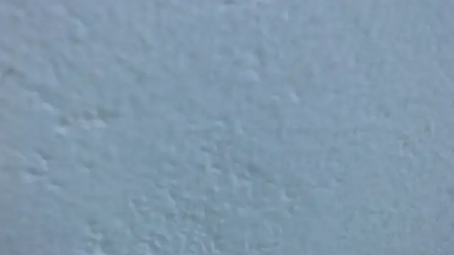 carolina zabala 19 online show from 03-23-26, 07:36