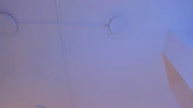 TokyoHaskel online show from 05-15-26, 04:10