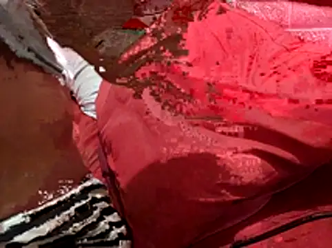 Snapshot of Kellye_hotTs chatting on 02-04-26, 02:17 Kellye hotTs online show from 02-04-26, 02:17