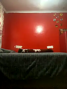 BaggyDirt online show from 11-29-25, 03:34