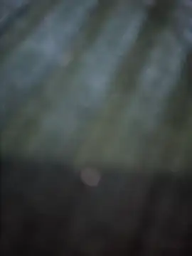 VesperVelvet online show from 03-28-26, 03:51