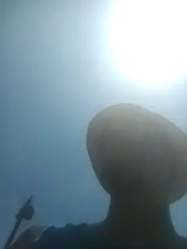 KingBonga online show from 02-10-26, 10:47