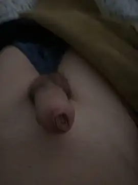 elpollon23876 online show from 04-03-26, 02:45