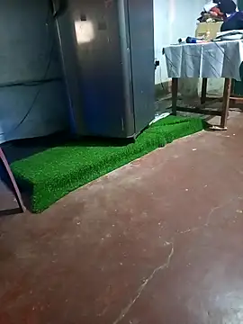 BabyHansi online show from 03-29-26, 05:03