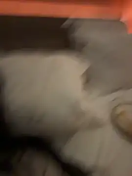 Ofcourseoneday online show from 03-08-26, 01:36