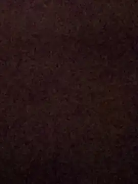 sarahpearlx online show from 04-12-26, 09:18