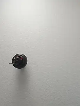 Kaalum561 online show from 11-26-25, 01:00